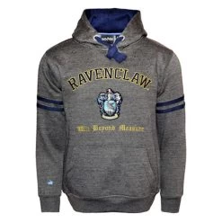 Harry Potter House T-Shirt Or Sweatshirt -Fashion Paradise CY6906 RAVEN S