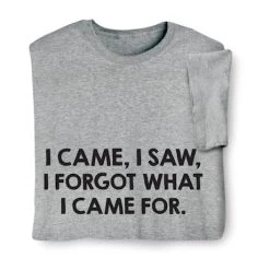 I Came, I Saw, I Forgot What I Came For T-Shirt Or Sweatshirt