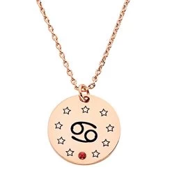 Personalized Zodiac Birthstone Pendant -Fashion Paradise HBF042 Rose Gold c