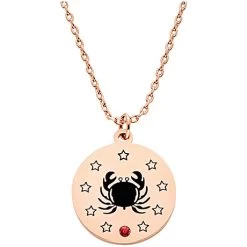 Personalized Birthstone And Zodiac Necklace -Fashion Paradise HBH212 R Gold
